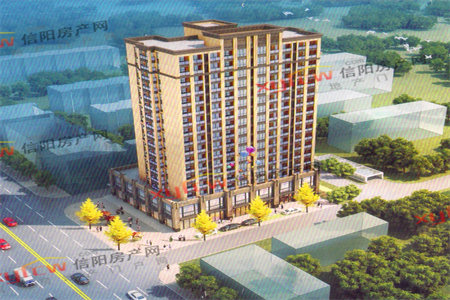 法拍房是唯一住房怎么处理