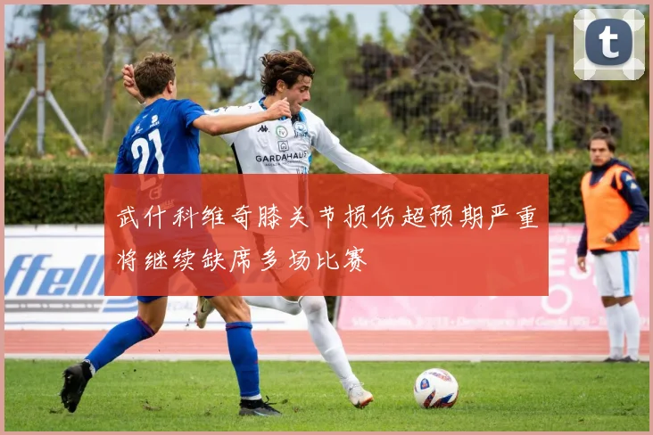 武什科维奇膝关节损伤超预期严重将继续缺席多场比赛